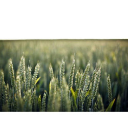 Awesome Steel Clock fr-FR